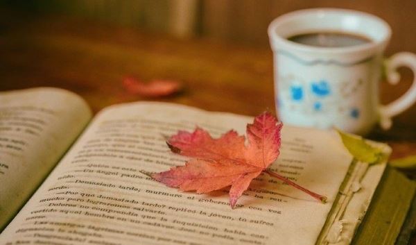 Осень в жанре магического реализма: 10 книг для уютного чтения в пледе